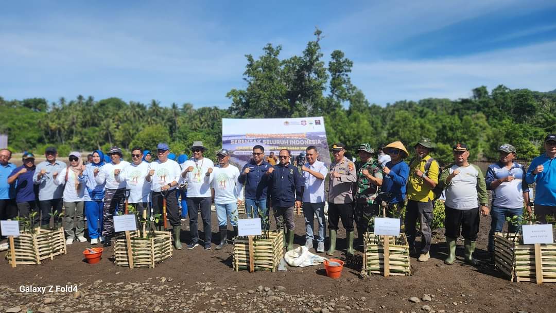 Bibit Mangrove