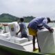 Distribusi Logistik ke Pulau