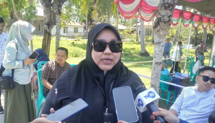 PSU di 4 TPS Bone Bolango, KPU: Tak Ada Honor lagi untuk KPPS