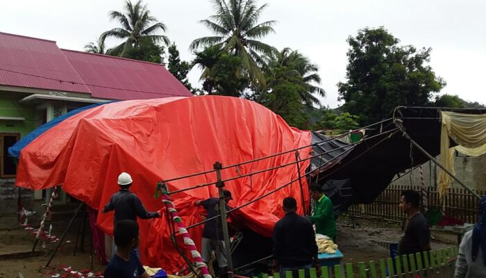 Puluhan TPS Terdampak Bencana, KPU Gorut: Rusak Diperbaiki, Sebagian Dipindahkan