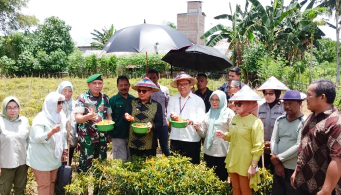 Cegah Inflasi, Pemkot Gorontalo Gelar Germas Matahari
