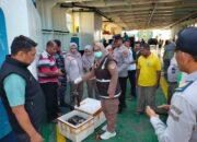 Bawa Ratusan Tikus Mati, Seorang Penumpang Kapal di Gorontalo Diamankan