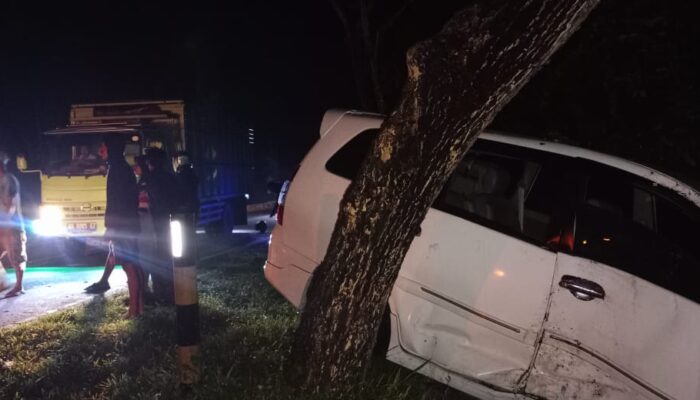Mobil Nyungsep Tabrak Pohon di Hutan Lindung Marisa