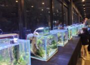 Anniversary Ke-3 Tahun, Pet Lovers Gorontalo Gelar Pameran Satwa