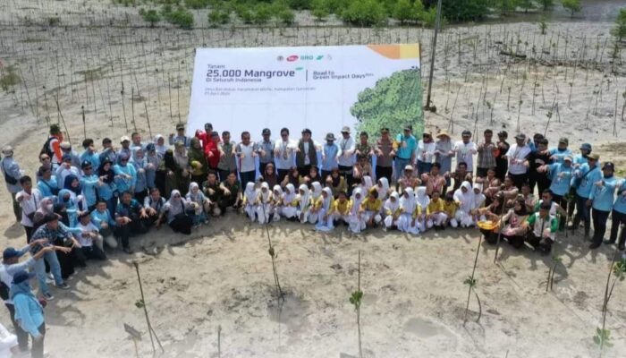 Kementerian LHK Gelar Penanaman Mangrove di Biluhu