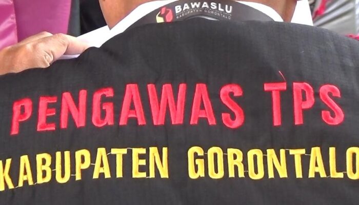 Bawaslu Sebut Belum ada Temuan Pelanggaran pada PSU Tuladenggi