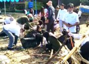 PLN Nusantara Power dan DLHK Gorontalo Gelar Aksi Bersih Sampah di Pantai 