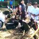 Bersih Sampah