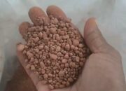 Pupuk Phonska Mirip Kerikil, Begini Penjelasan Produsen