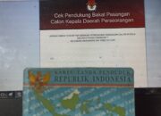 Identitasmu Dicatut jadi Pendukung Calon Perseorangan Pilkada? Ini Cara Ceknya!