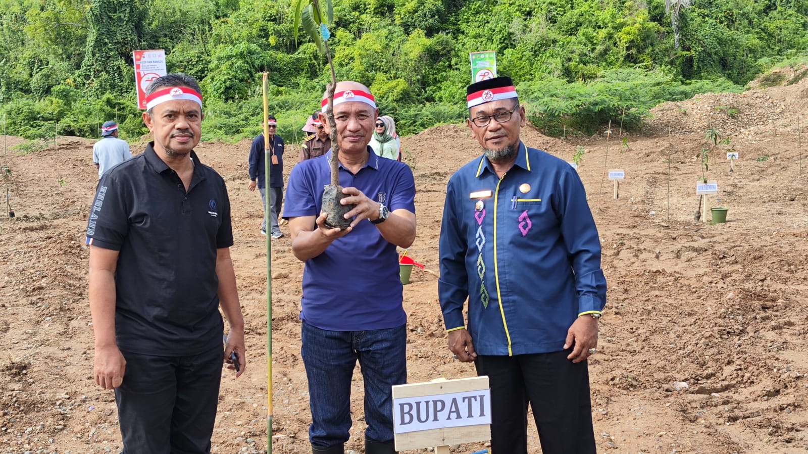 Penanaman Pohon Pohuwato