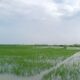 Kabupaten Gorontalo Banjir