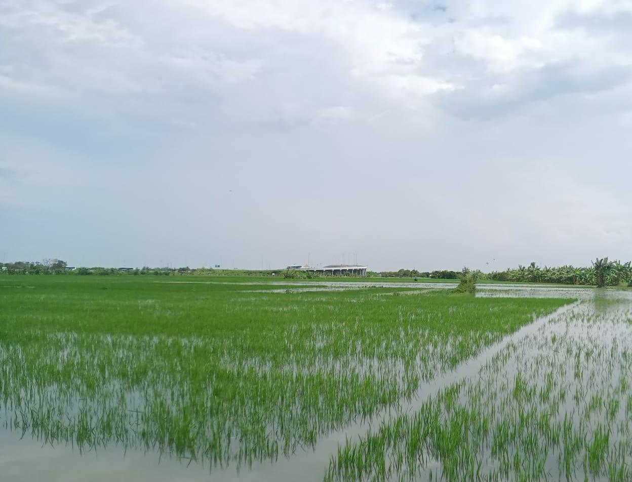 Kabupaten Gorontalo Banjir