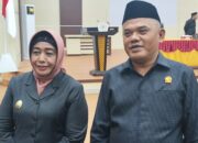 Nasir Giasi Siap Dipasangkan dengan Suharsi Igirisa di Pilkada Pohuwato?