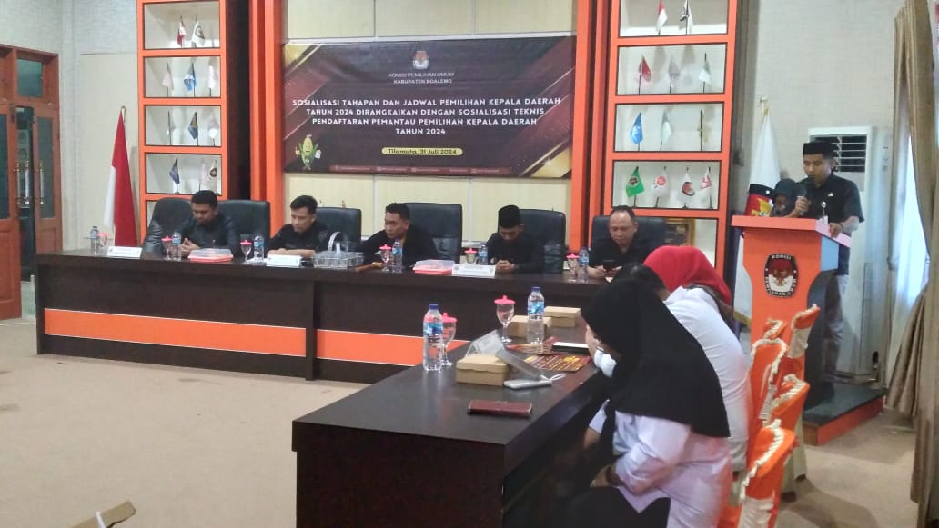 Pemantau Pilkada