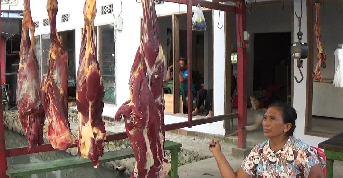 Sapi Antraksaa