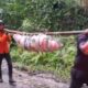 Tambang Longsor Gorontalo