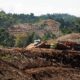 Hutan di Kabupaten Pohuwato, Gorontalo yang Dijadikan Usaha Wood Pellet oleh Sejumlah Perusahaan.foto: FWI