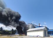 Pabrik Jagung Milik PT Harim di Paguat Terbakar