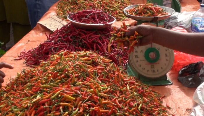 Harga Cabai Rawit di Gorontalo Fluktuatif Akibat Banyak Pasokan
