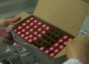 Kabupaten Gorontalo Tertinggi Kasus Rabies,  Ketersediaan Vaksin Dipastikan Tercukupi