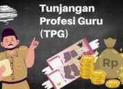 9 Kriteria Harus Dipenuhi Guru ASN untuk Dapat Tunjangan Profesi