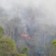 Kebakaran Hutan
