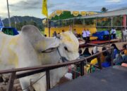 Program IRIS Disebut Tak Masuk Akal, FanKa: Tim MULUS Panik Lawan IRIS