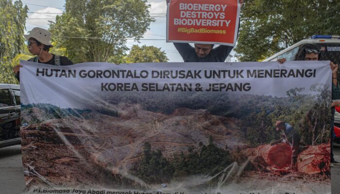 Tolak Proyek Biomassa, Ancam Kelestarian Lingkungan di Gorontalo