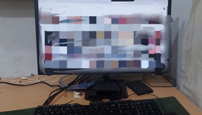 Video Mesum Viral di Media Sosial, Kali ini Pemerannya Ibu dan Anak