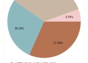 Real Count Sementara Pilkada Bone Bolango: IRIS Unggul