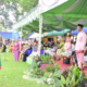 Peran Pemuda