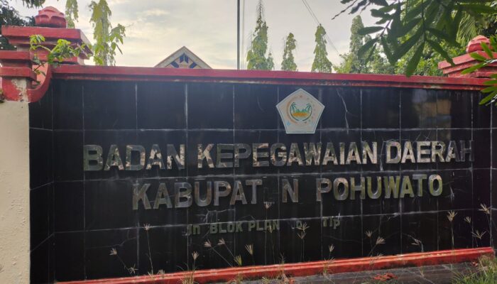 Diduga Selingkuh, Oknum ASN Bidan di Pohuwato Terancam Diberhentikan