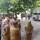 Netralitas ASN Pilkada