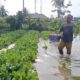 Banjir Tilote Gorontalo