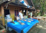 Harga Ikan Danau Limboto Naik, Daya Beli Menurun