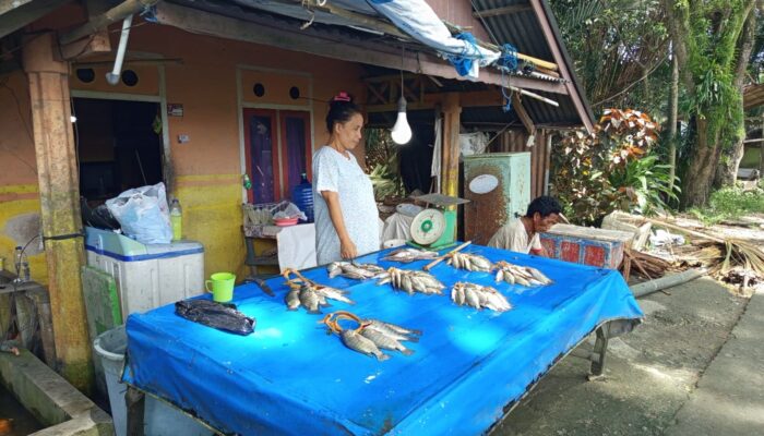 Harga Ikan Danau Limboto Naik, Daya Beli Menurun