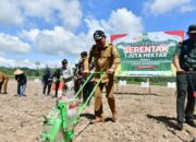 Bupati Yakin Penanaman Jagung 1 Juta Hektar di Pohuwato Bisa Tercapai