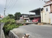 Pohon Tumbang Membentang di Ruas Jalan Tribrata Kota Gorontalo