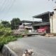 Pohon Tumbang Gorontalo