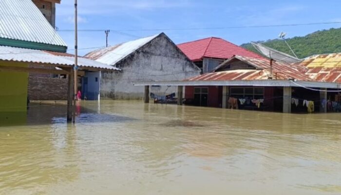Menanggulangi Banjir di Gorontalo: Langkah Profesional dan Saran untuk Pemerintah