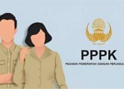Heboh PPPK Disebut ASN Giveaway