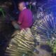 Lampion Tumbilotohe