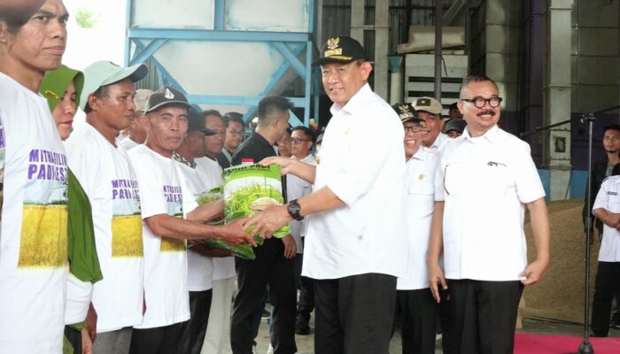 Harga Jagung dan Gabah Mahal, Petani Bangga dengan Gubernur Gorontalo