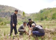 Kementerian ATR/BPN Imbau Warga Pasang Tanda Batas Tanah untuk Hindari Sengketa