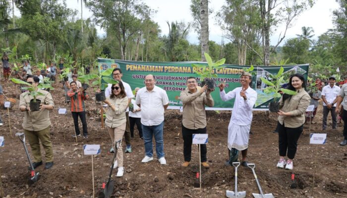 Aksi Tanam Pisang di Jembrana, Wujud Penataan Akses Tanah Ulayat Pertama di Indonesia