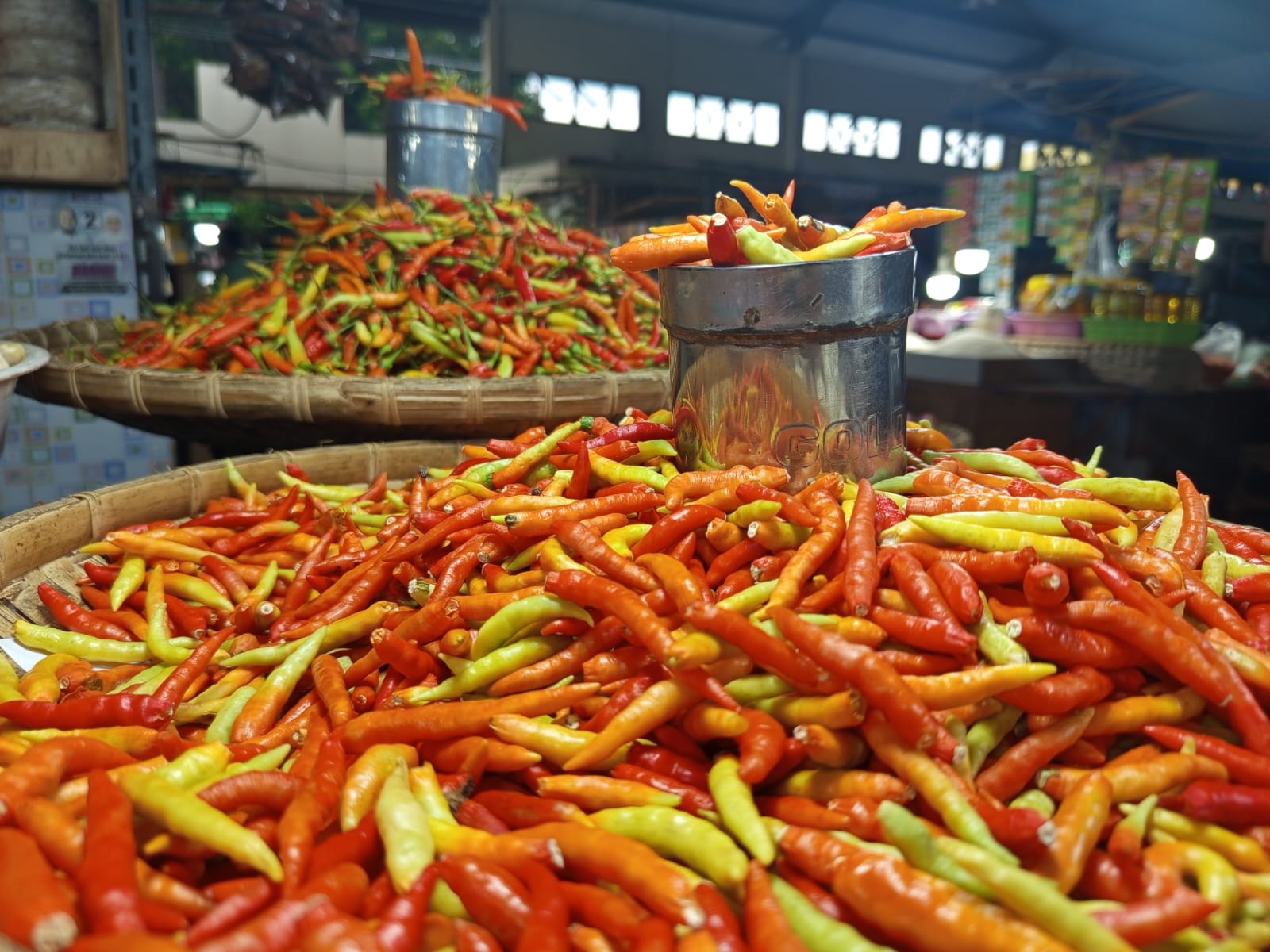 Cabai Rawit
