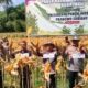 Panen Raya Jagung