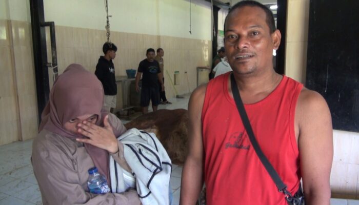 Penyembelihan Hewan Kurban Bantuan Presiden Diselimuti Kesedihan Pemilik Sapi