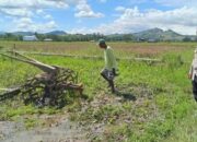 4 Mesin Traktor Sawah di Pohuwato Hilang Dicuri, Kerugian Capai Rp70 Juta